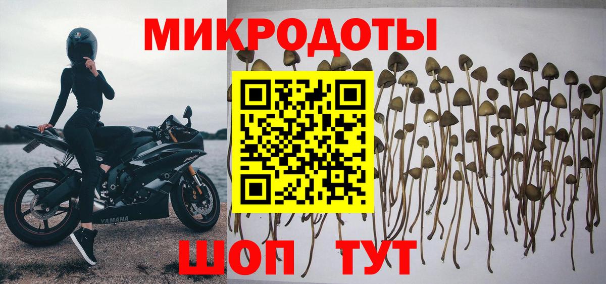 Галлюциногенные грибы Psilocybine cubensis  что такое   Вход с VPN  Электросталь  Галлюциногенные грибы Magic Shrooms 