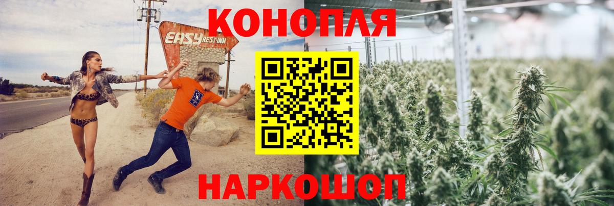Бошки Шишки LSD WEED  Марихуана семена  Канабис ГИДРОПОН  Электросталь  Вход с VPN 